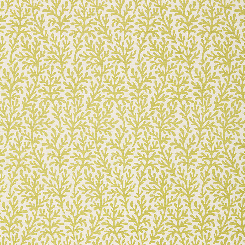 Buy 174462 Sea Coral Chartreuse by Schumacher Fabric