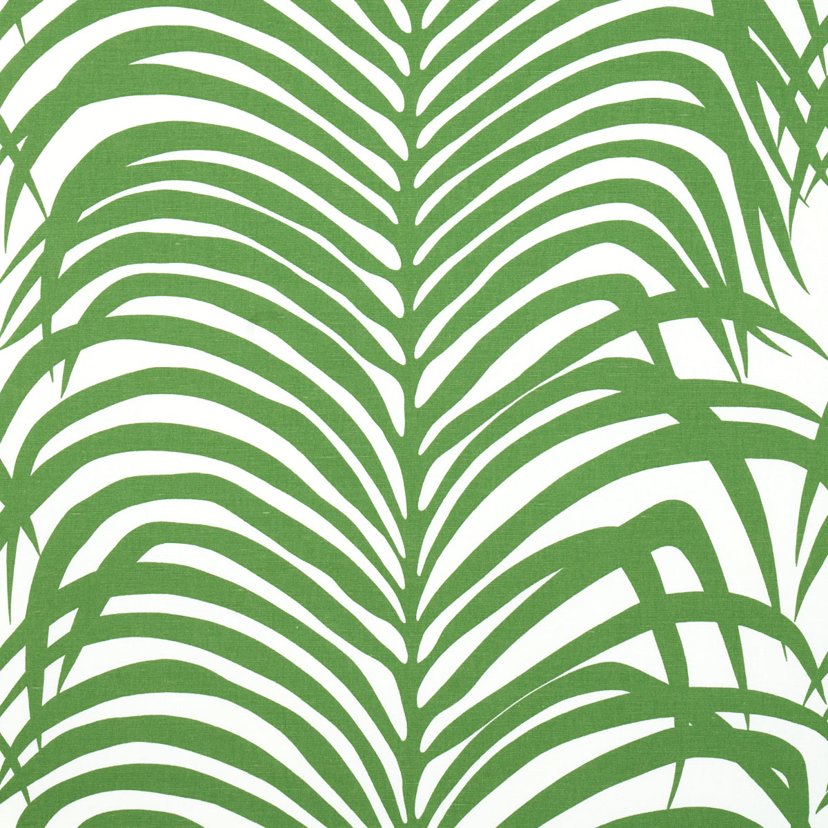 Looking 174871 Zebra Palm Jungle by Schumacher Fabric