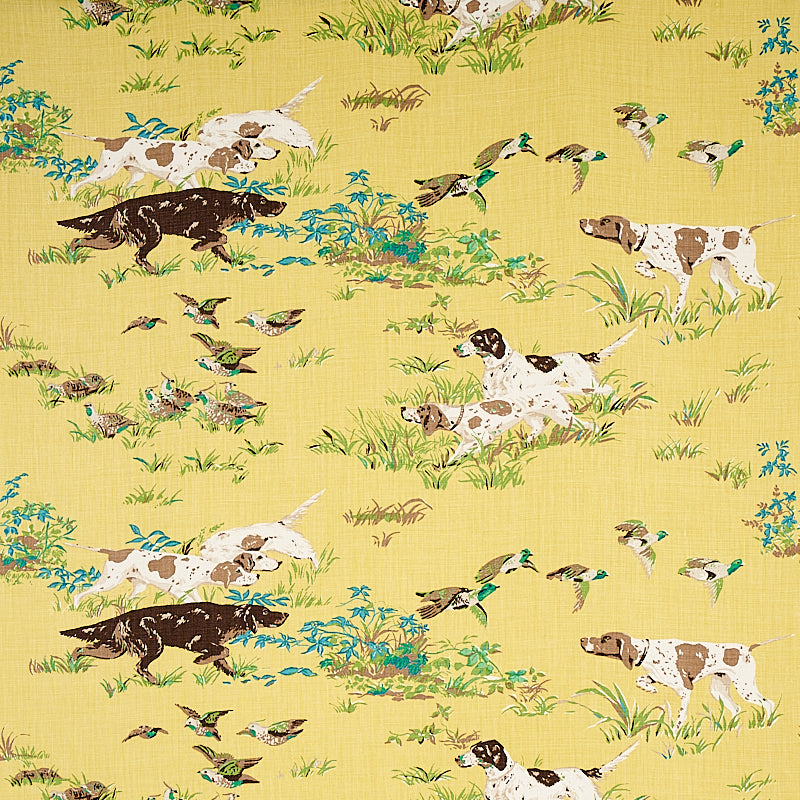 Shop 175162 Pointers Yellow by Schumacher Fabric
