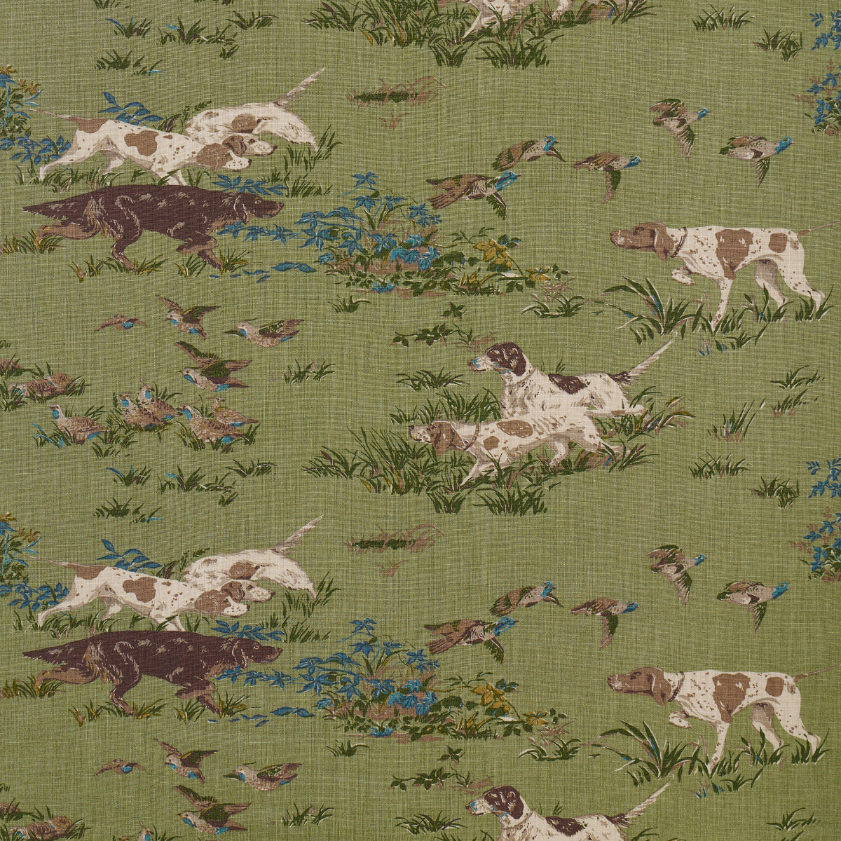 175164 | Pointers, Meadow - Schumacher Fabric