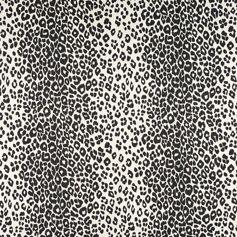 Purchase 175722 Iconic Leopard Graphite by Schumacher Fabric