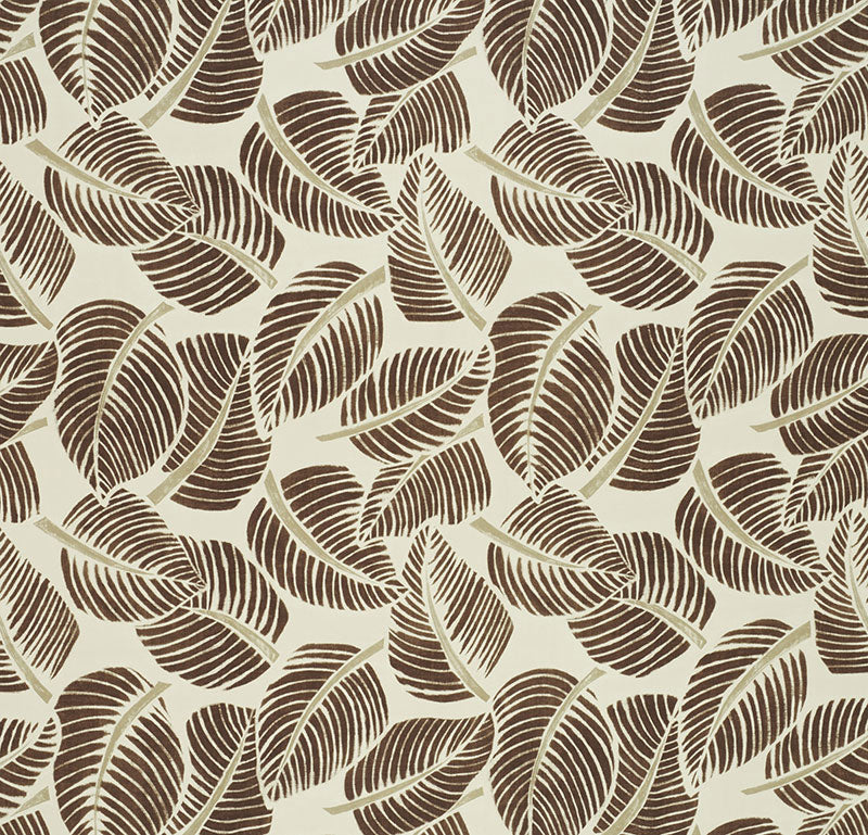 Find 176192 Costa Rica Chocolate by Schumacher Fabric