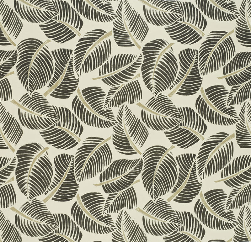 Buy 176193 Costa Rica Faded Black by Schumacher Fabric