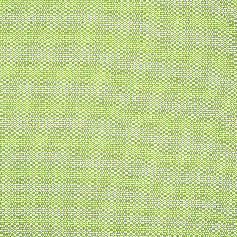 Save 176560 Queen B Ii Green by Schumacher Fabric