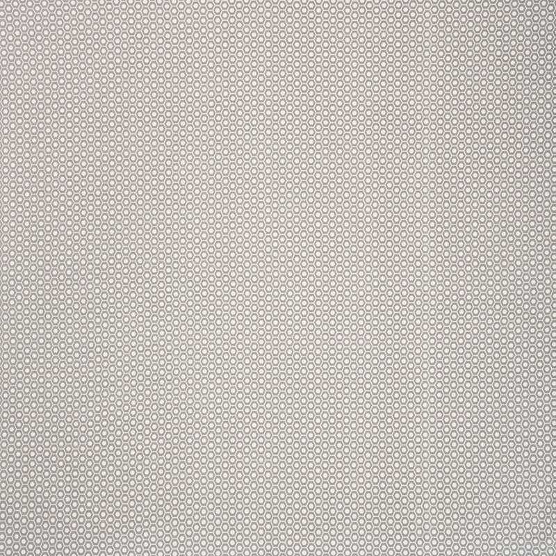 Purchase 176562 Queen B Ii Grey by Schumacher Fabric