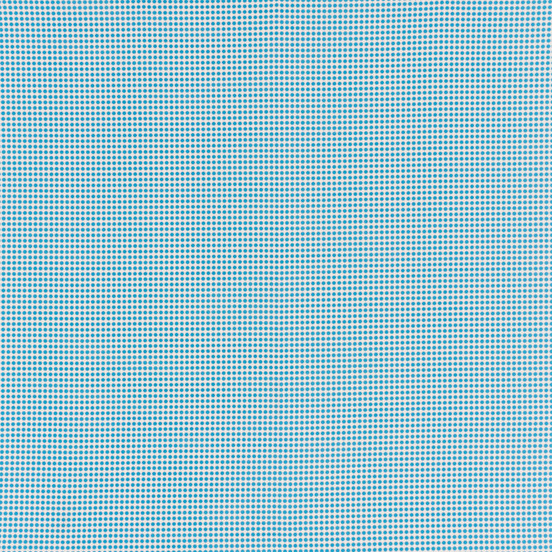 Purchase 176573 Stella Ii Aqua by Schumacher Fabric