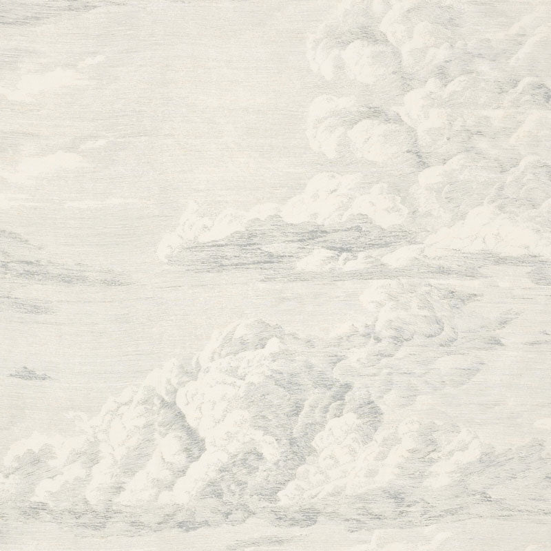 Looking 177001 Cloud Toile Delft by Schumacher Fabric