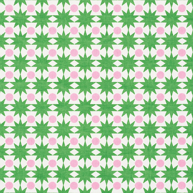 View 177061 Cosmos Watermelon by Schumacher Fabric
