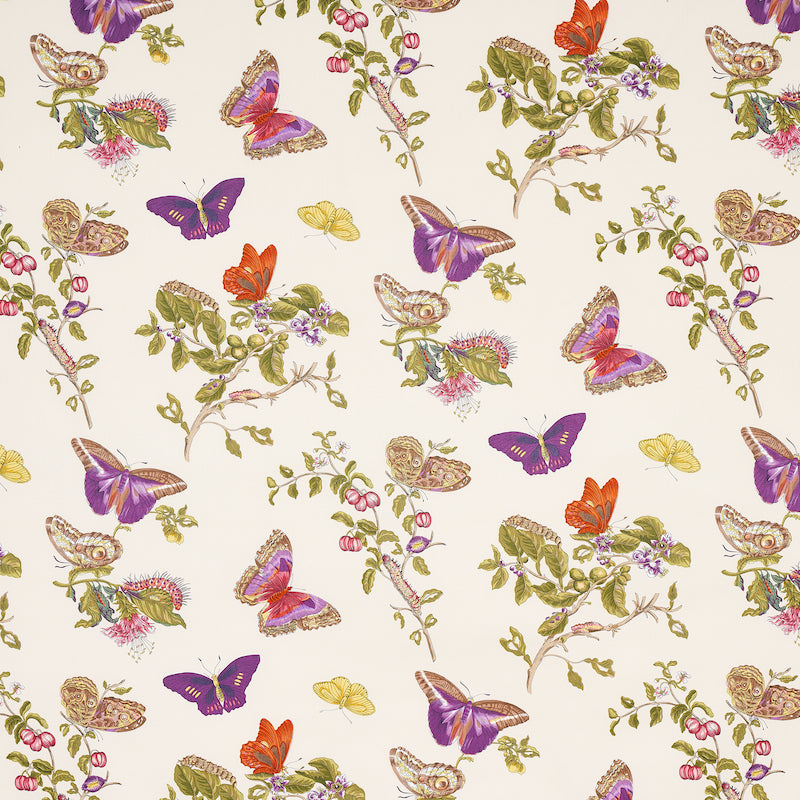 Purchase 178722 Baudin Butterfly Chintz Purple by Schumacher Fabric