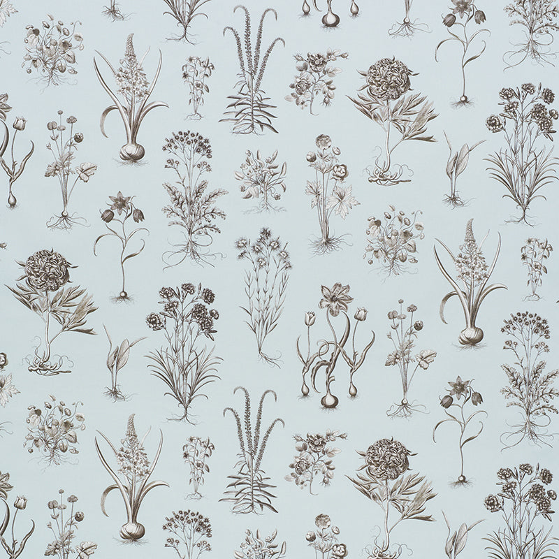 Search 178750 Cabot Botanical Sky by Schumacher Fabric