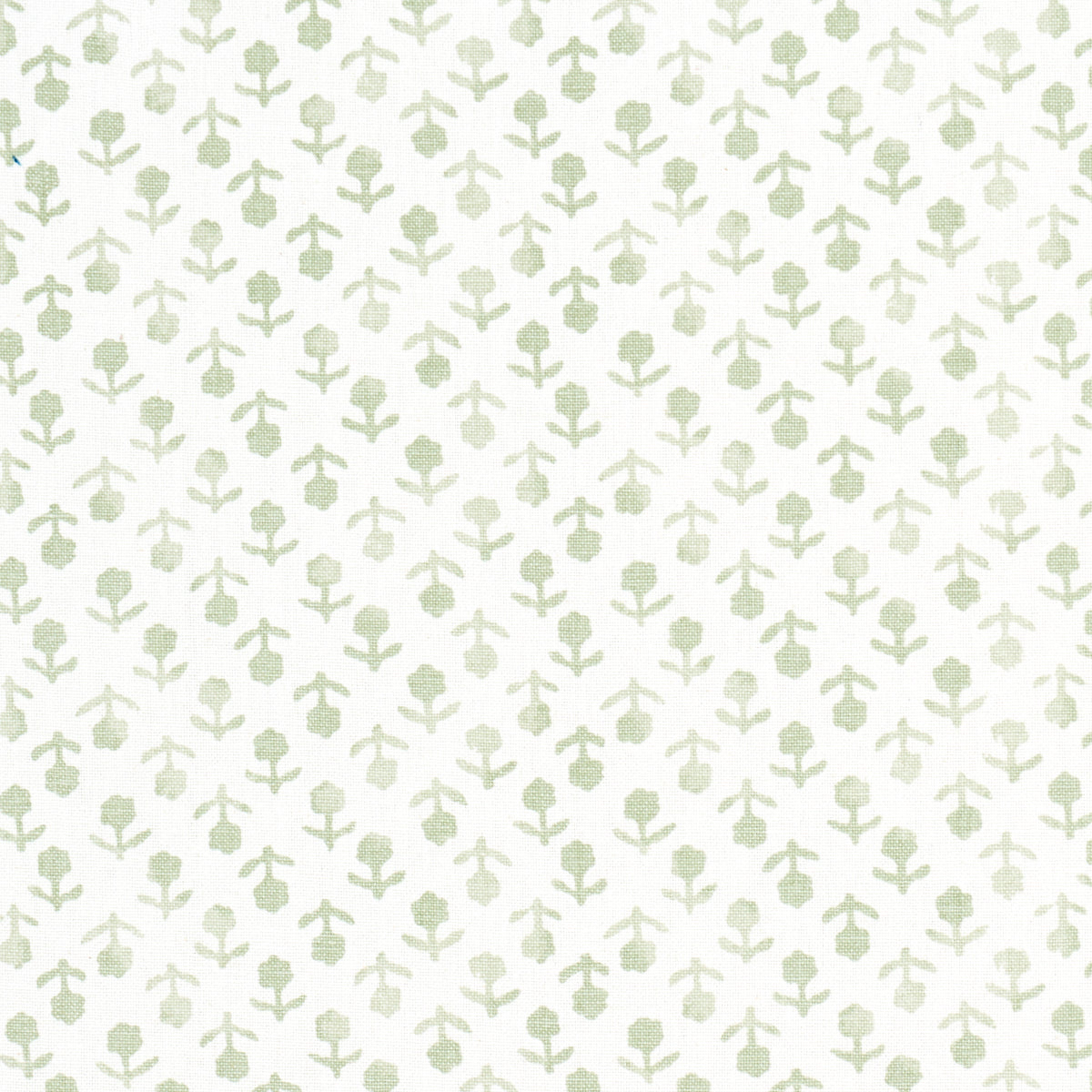 Purchase 179354 | Beatriz Handprint, Sage - Schumacher Fabric
