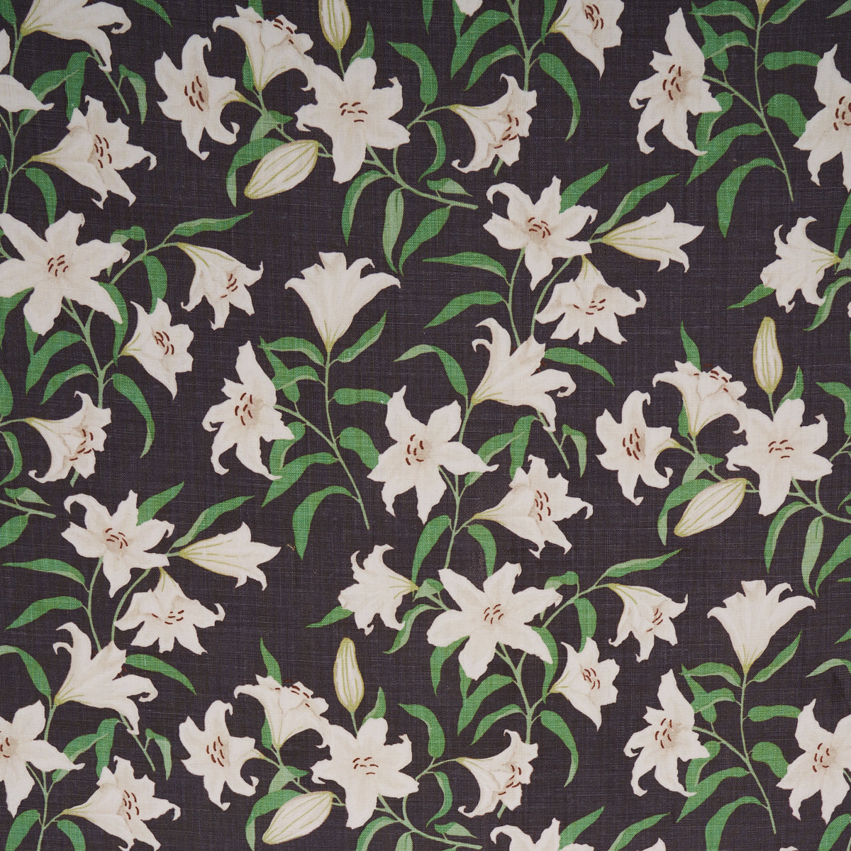 Purchase 180302 Scattered Lilies, Charcoal by Schumacher Fabric