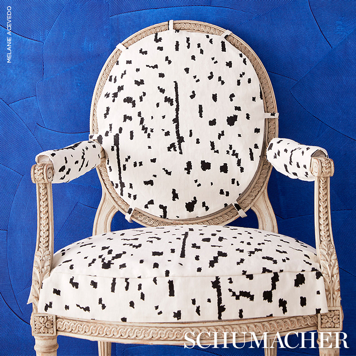 Purchase 180311 | Bespotted, Black - Schumacher Fabric