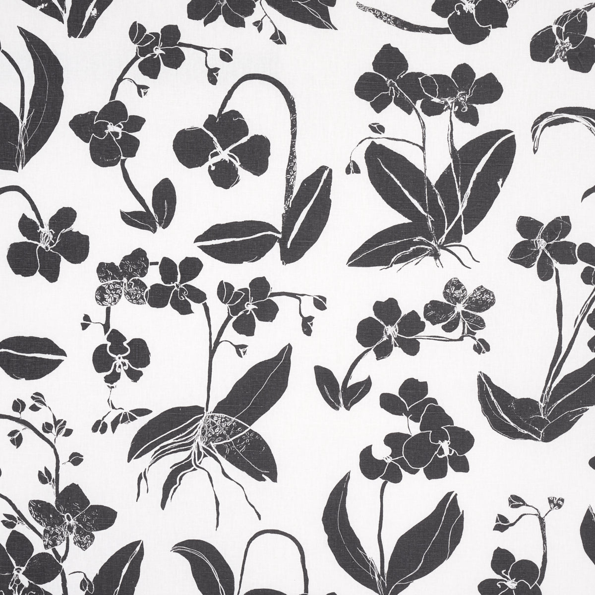 Purchase 180510 Orchids Have Dreams, Soft Black by Schumacher Fabric