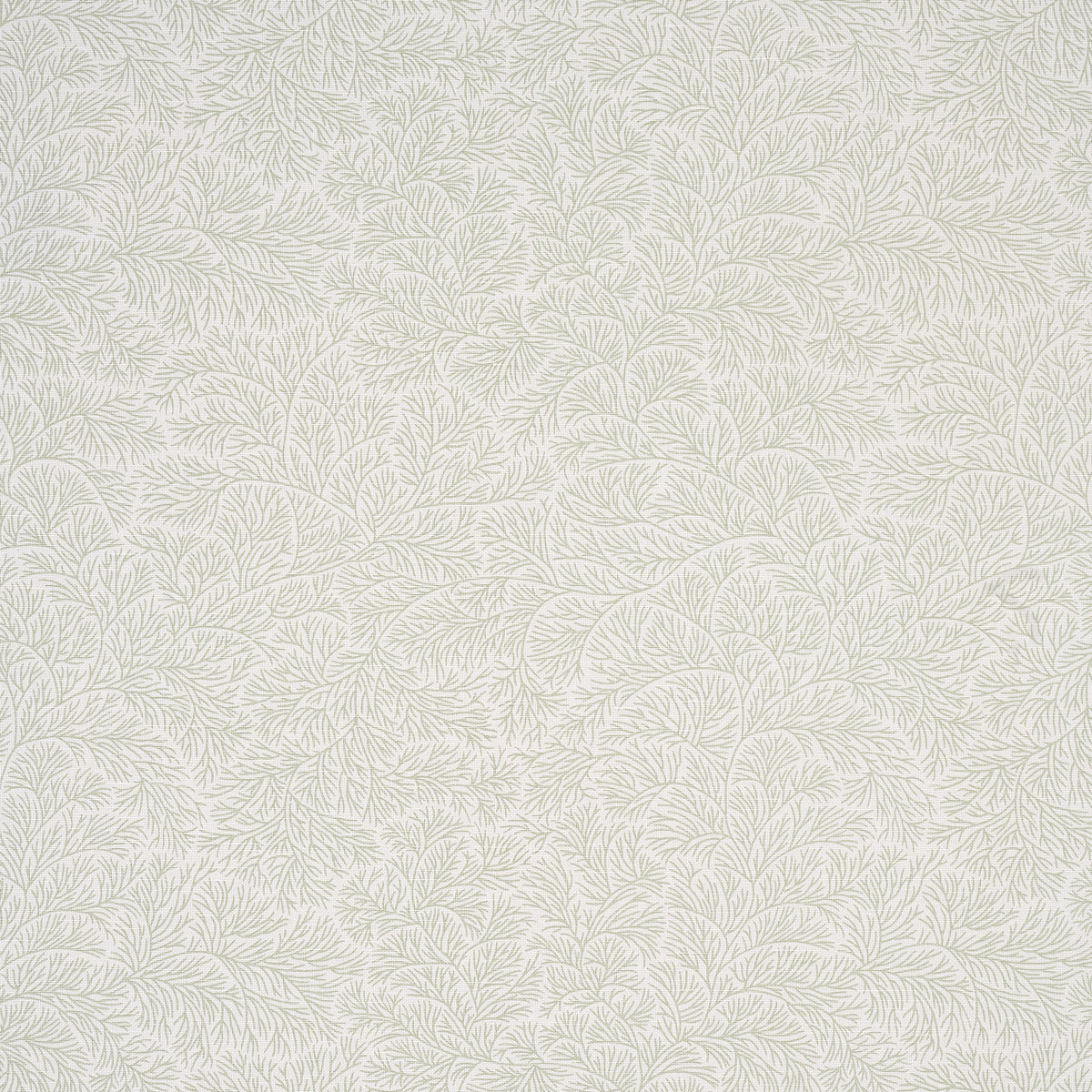 Purchase 180701 Bougainvillea, Leaf Green by Schumacher Fabric