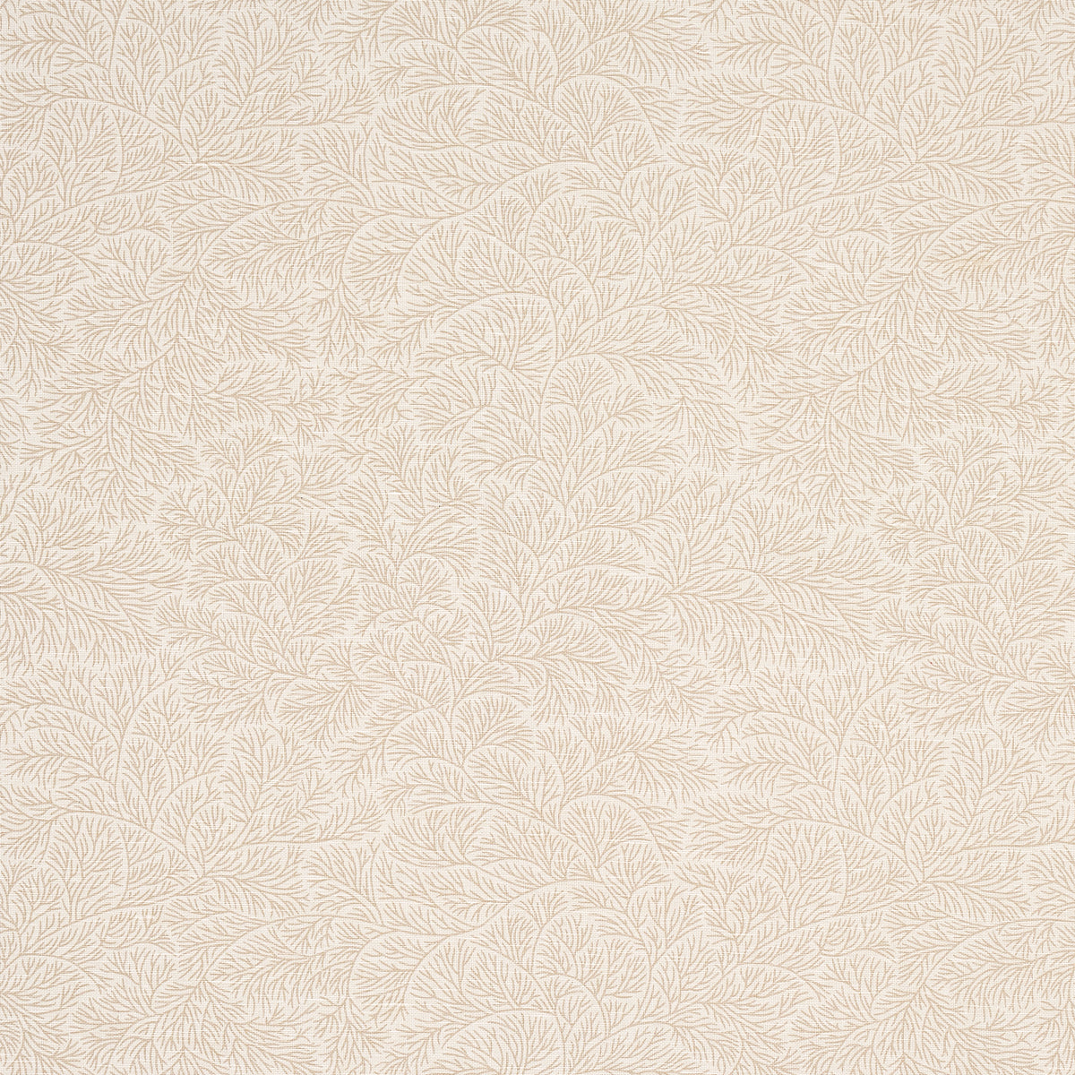 Purchase 180702 Bougainvillea, Neutral by Schumacher Fabric