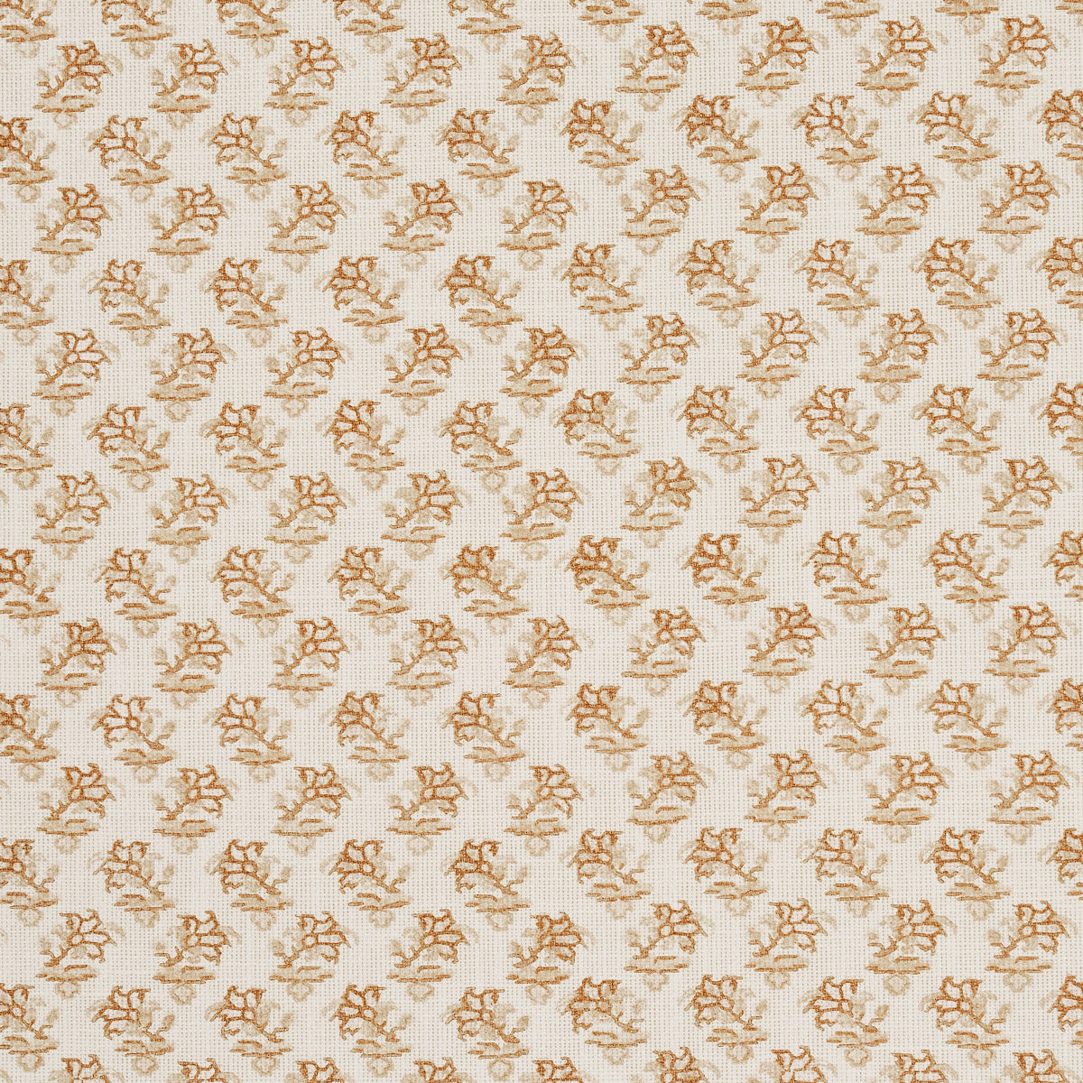 Purchase 180762 Oleander Indoor/Outdoor, Neutral by Schumacher Fabric