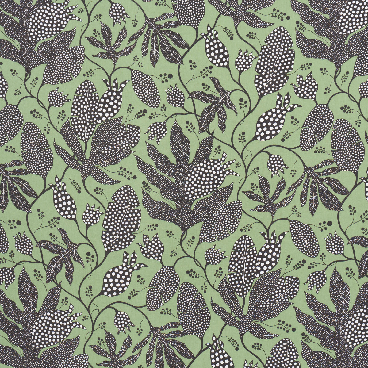 Purchase 181651 | Polka Dot Jungle, Black & Green - Schumacher Fabric