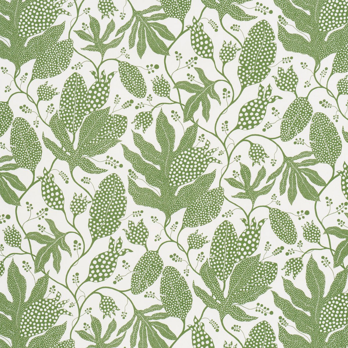 Purchase 181652 | Polka Dot Jungle, Green & Ivory - Schumacher Fabric