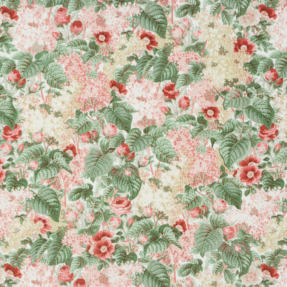 Purchase 181871 | Flora'S Fleurs, Apricot - Schumacher Fabric