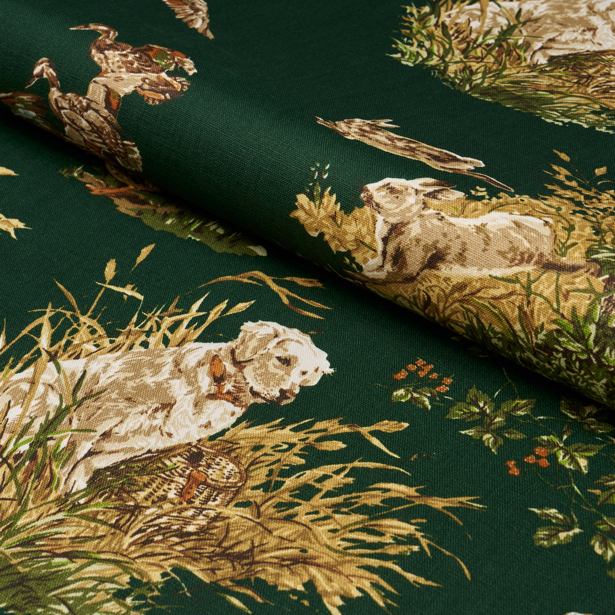 Purchase 182662 | Dog & Duck, Verdant - Schumacher Fabric