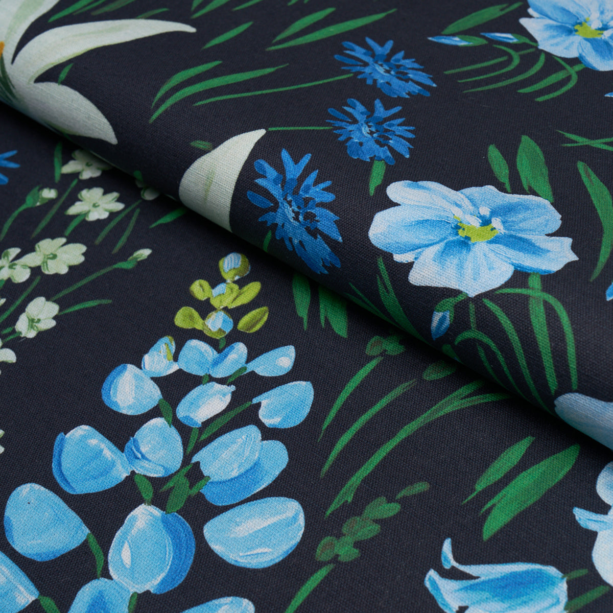 Purchase 182850 | Oz Floral, Ebony - Schumacher Fabric