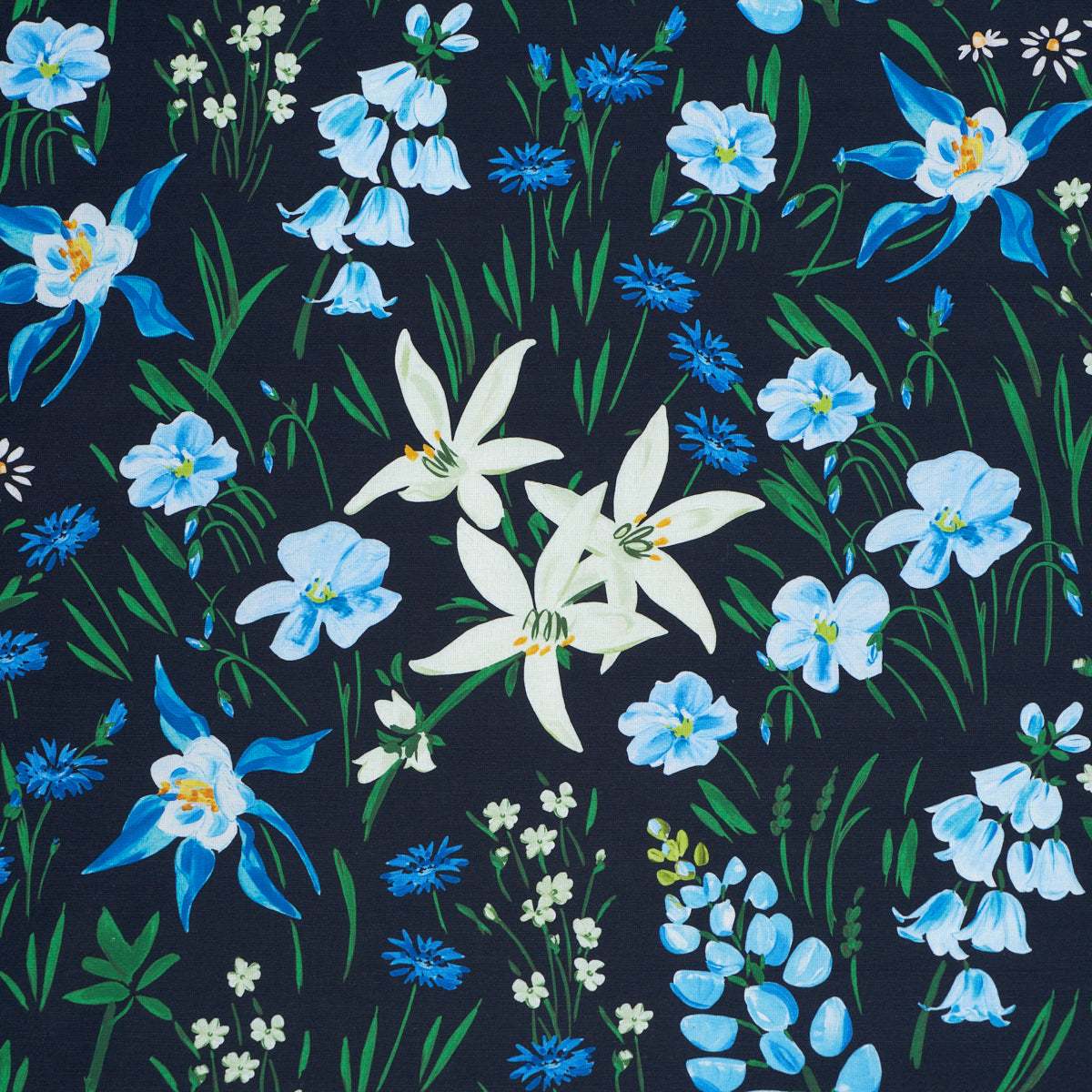 Purchase 182850 | Oz Floral, Ebony - Schumacher Fabric