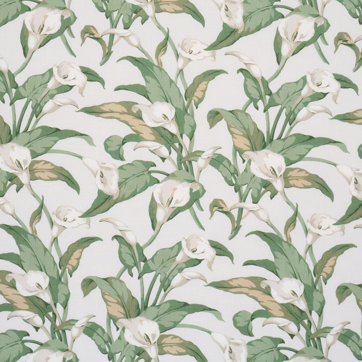 Purchase 183120 | Arum Lilies, Ivory - Schumacher Fabric