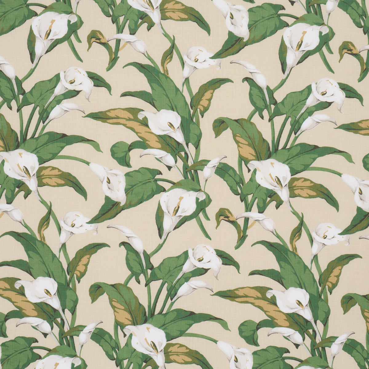 Purchase 183122 | Arum Lilies, Parchment - Schumacher Fabric