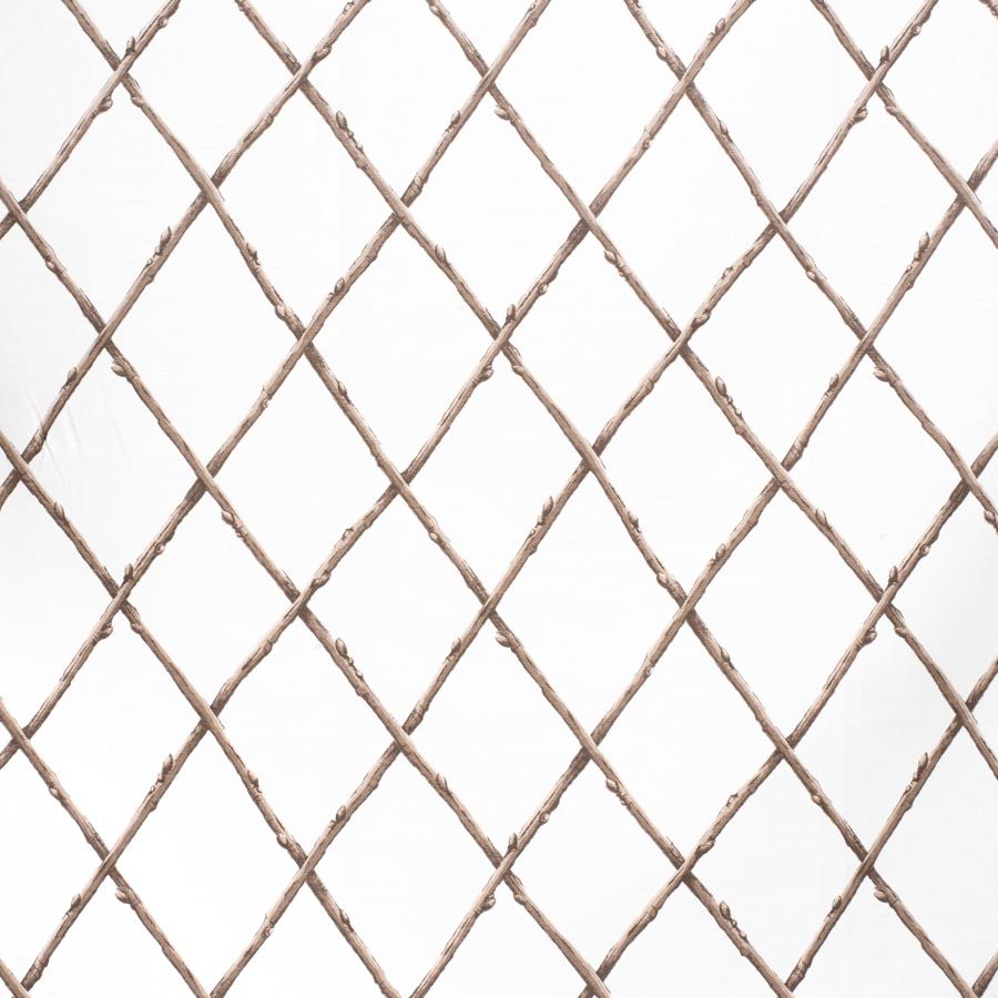 Sample 2020116.1116.0 Bare Twig Trellis Brown Lattice Lee Jofa Fabric