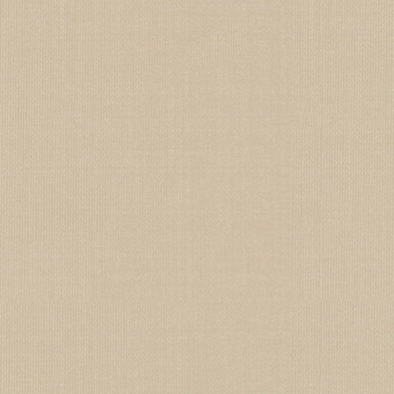 Looking 22611 Sargent Silk Taffeta Alabaster by Schumacher Fabric