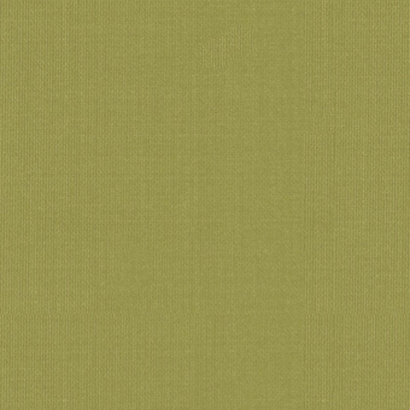 Purchase 22652 Sargent Silk Taffeta Linden by Schumacher Fabric