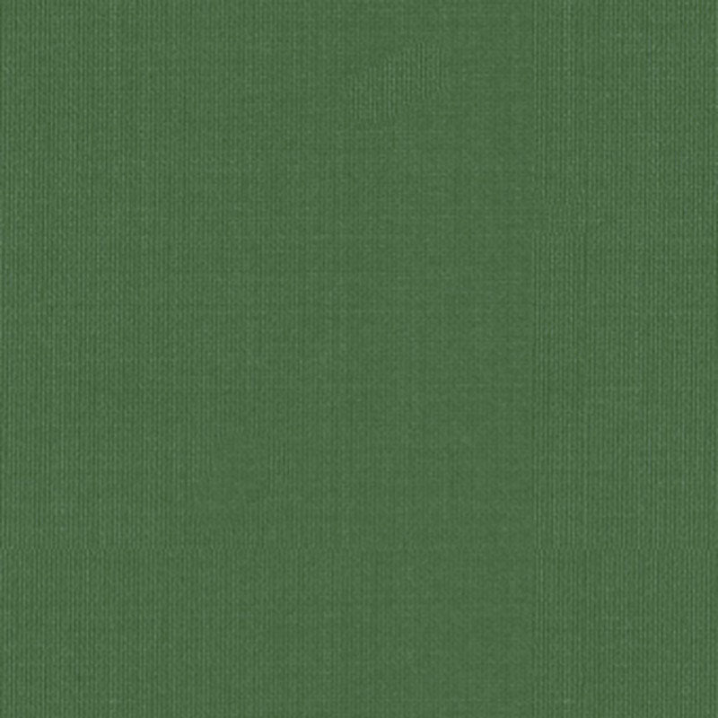 View 22654 Sargent Silk Taffeta Grass by Schumacher Fabric