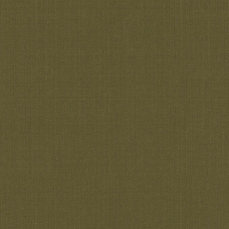 Find 22656 Sargent Silk Taffeta Olive by Schumacher Fabric
