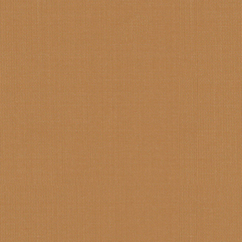 Purchase 22662 Sargent Silk Taffeta Honey by Schumacher Fabric