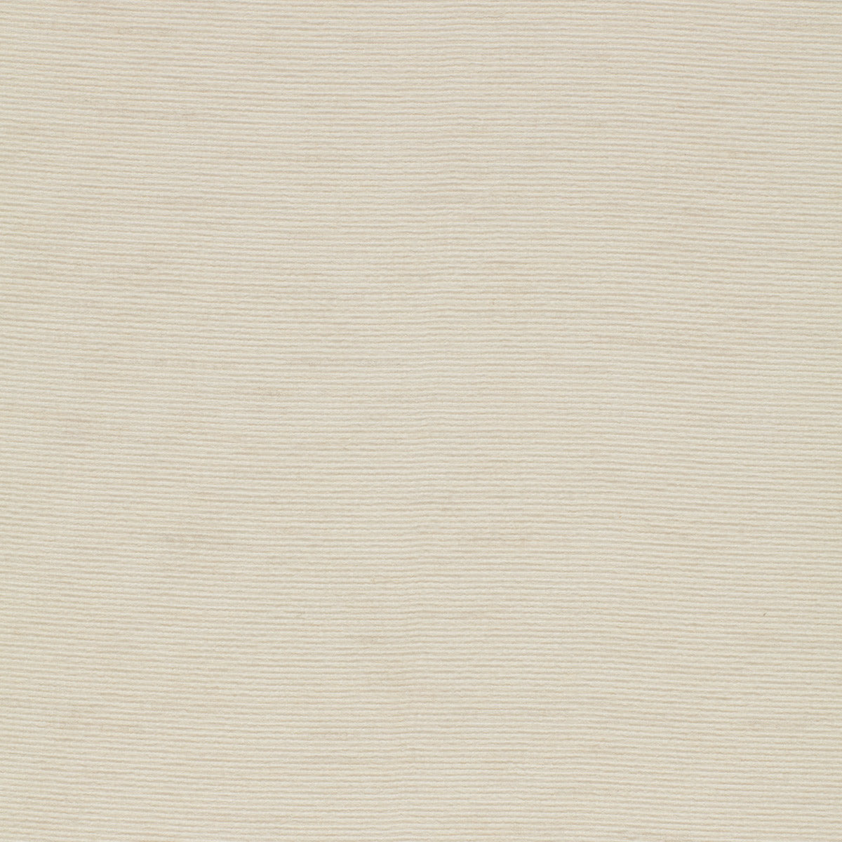 Shop 2643170 Biarritz Ivory by Schumacher Fabric
