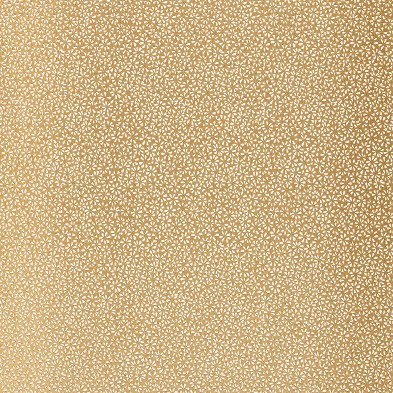Shop 2644521 Kyousha Silk Champagne by Schumacher Fabric