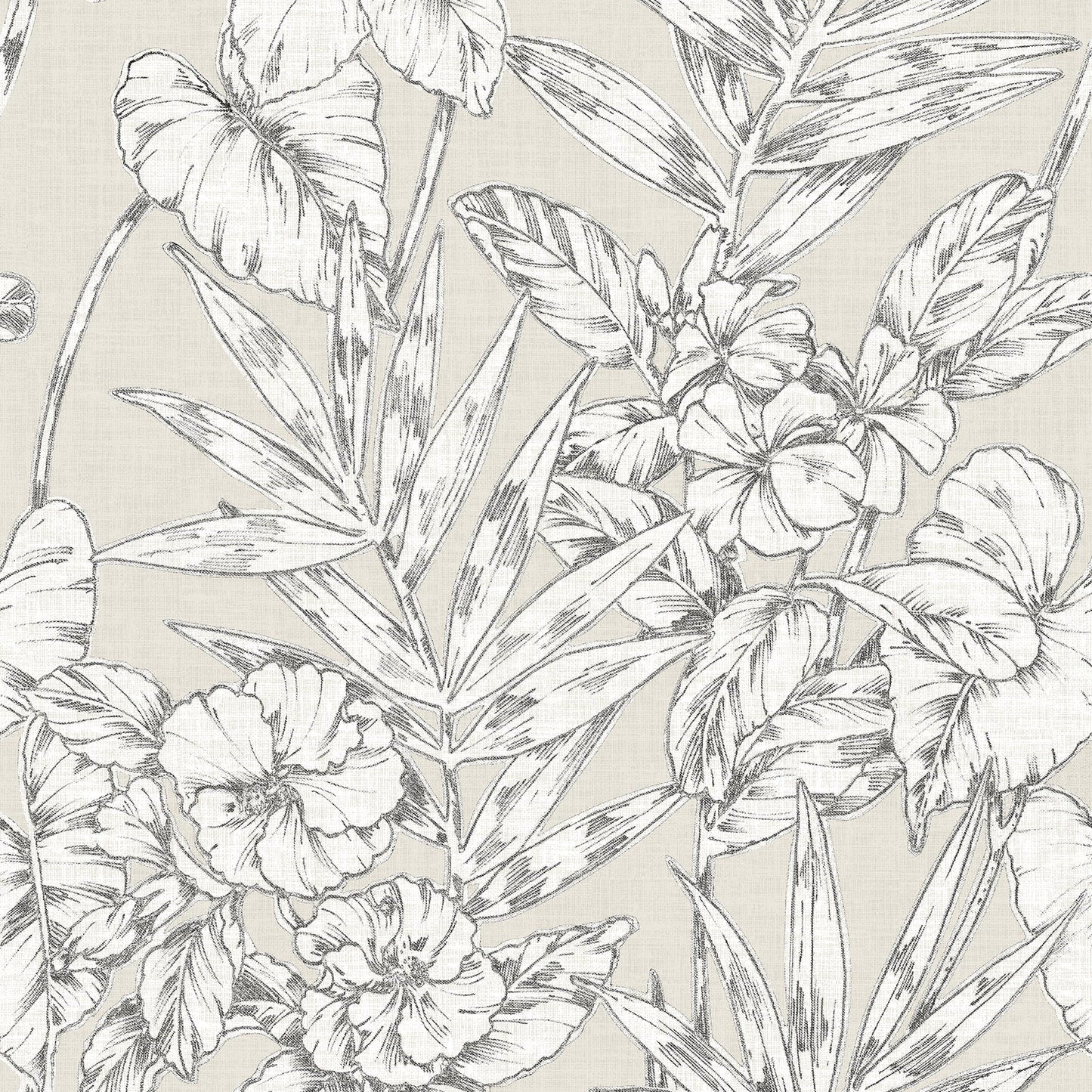 Purchase 2744-24104 Solstice, Beige Botanical by A-Street Prints Wallpaper