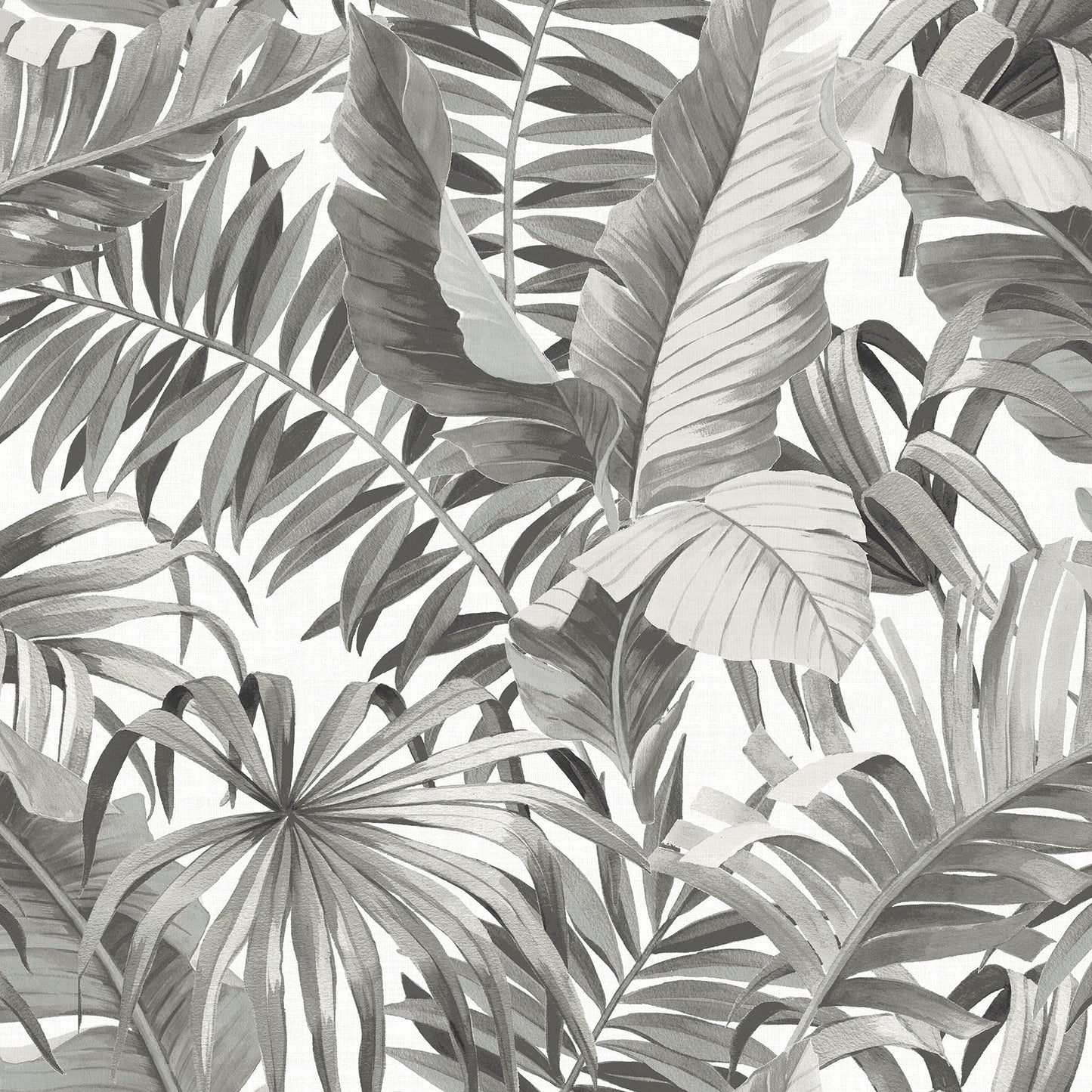 Purchase 2744-24134 Solstice, Black Botanical by A-Street Prints Wallpaper