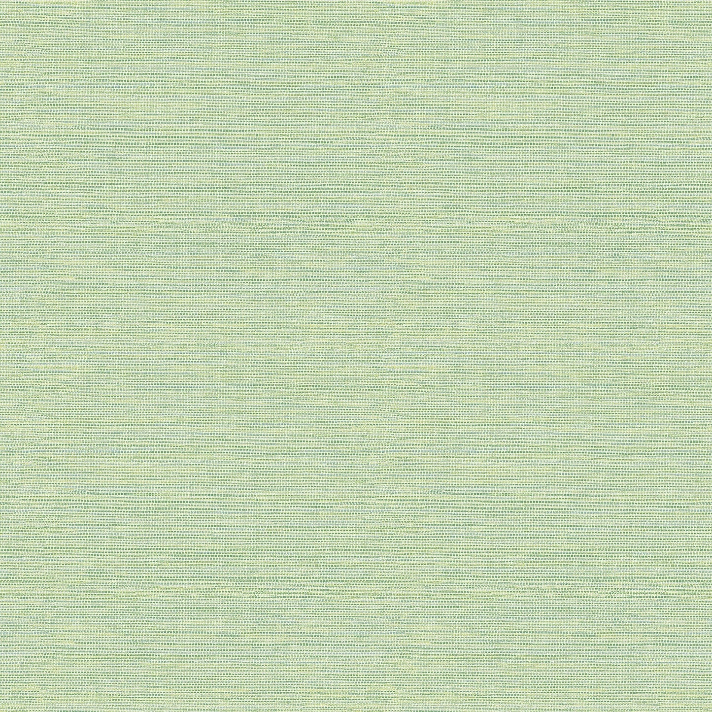 Purchase 2767-24284 Bluestem Green Grasscloth Techniques and Finishes III by Brewster