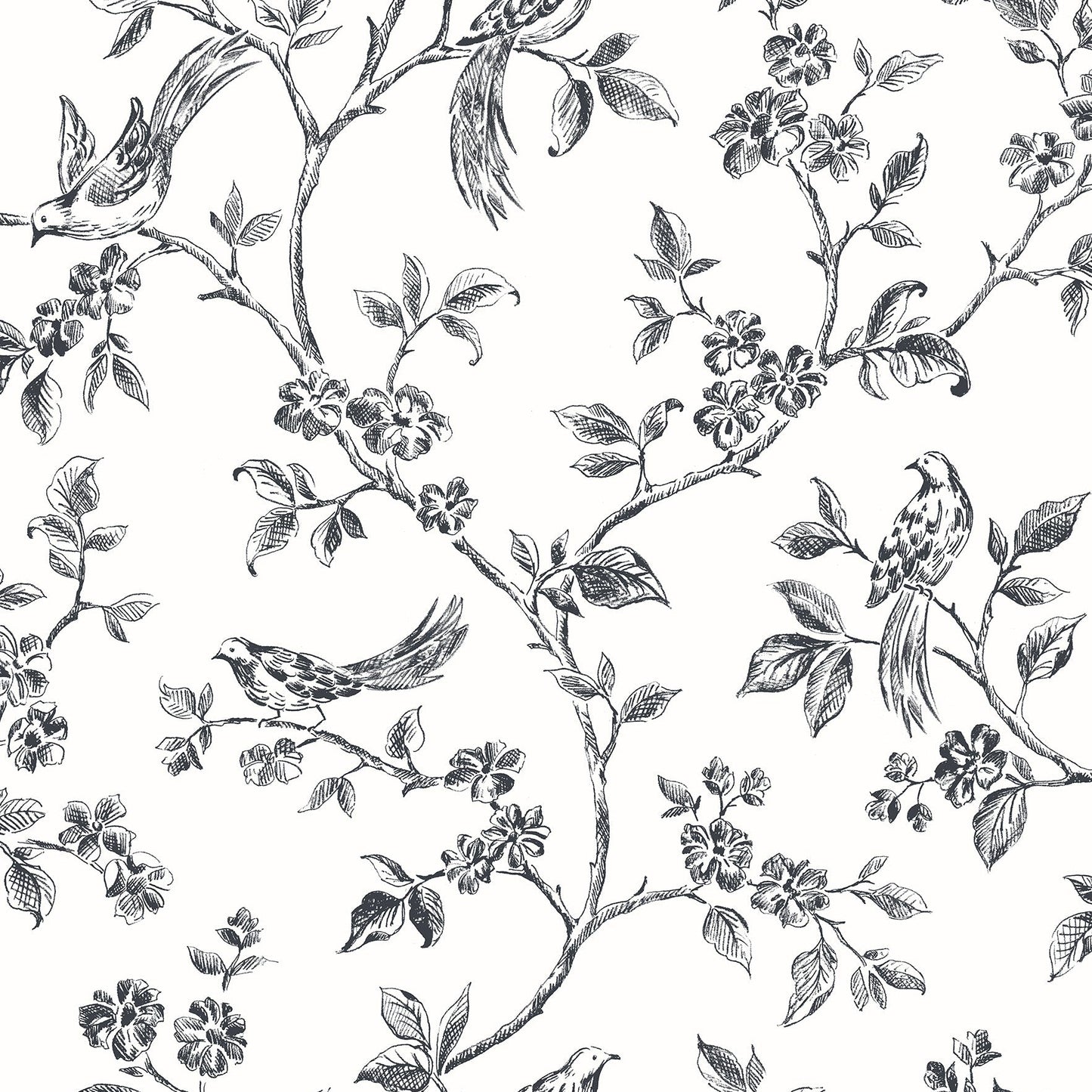 Looking 2813-24976 Kitchen Blacks Trails Wallpaper by Advantage