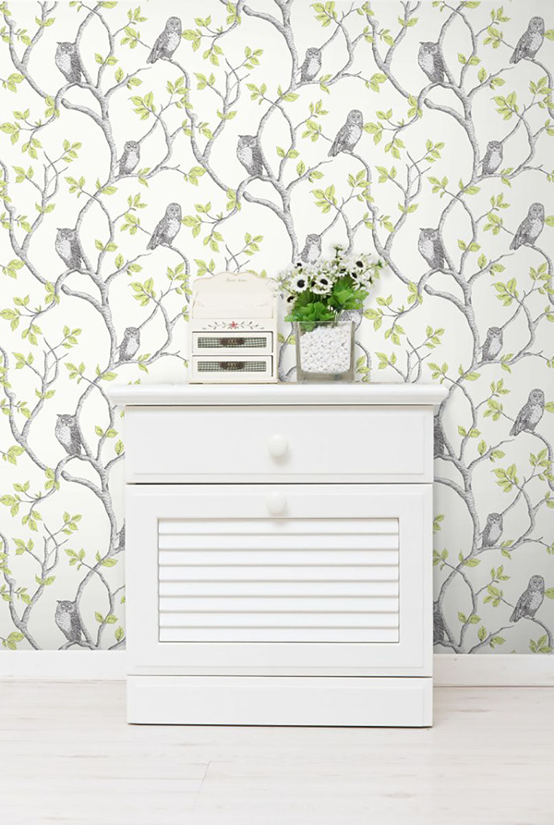 Purchase 2900-40637 Brewster Wallpaper, Linden Green Owl - Medley1