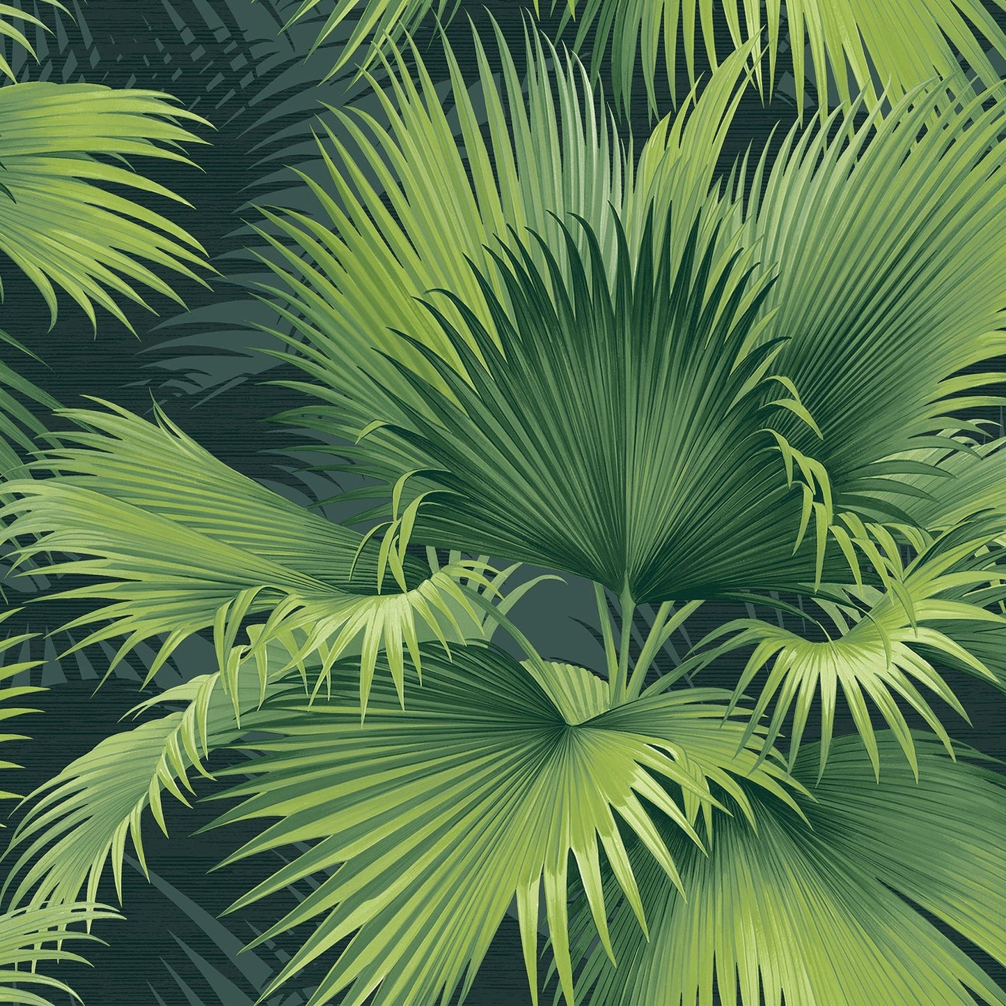 Purchase 2927-40104 Newport Summer Palm Dark Green Tropical by A-Street Prints Wallpaper