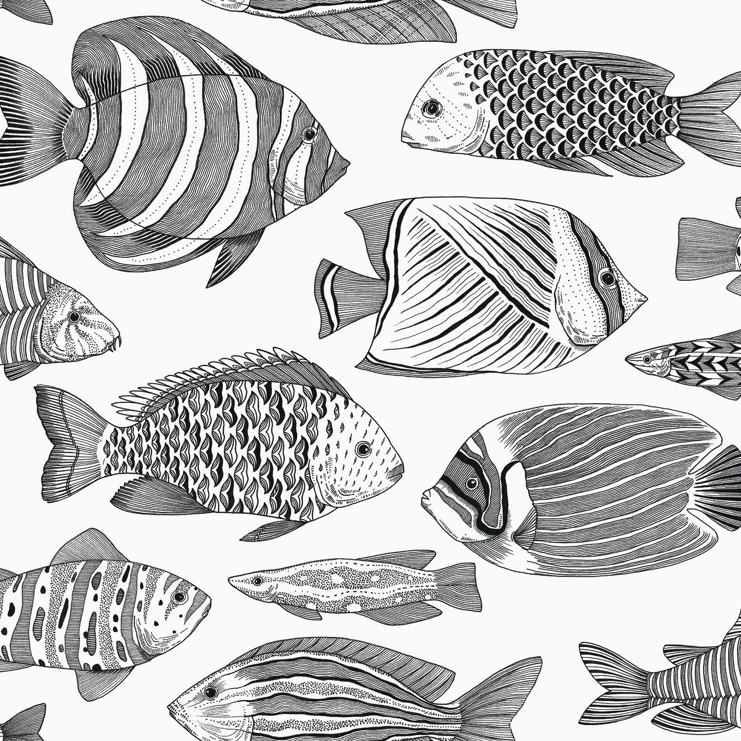 Purchase 2927-80200 Newport Wailea Black Tropical School by A-Street Prints Wallpaper