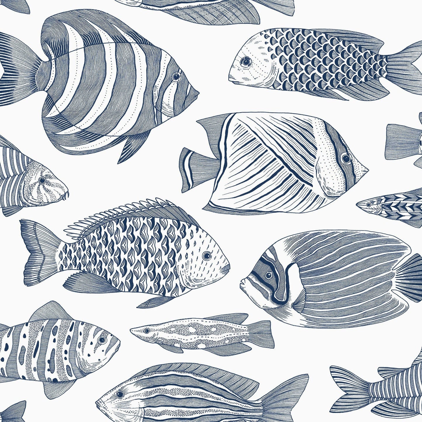 Purchase 2927-80202 Newport Wailea Indigo Tropical School by A-Street Prints Wallpaper
