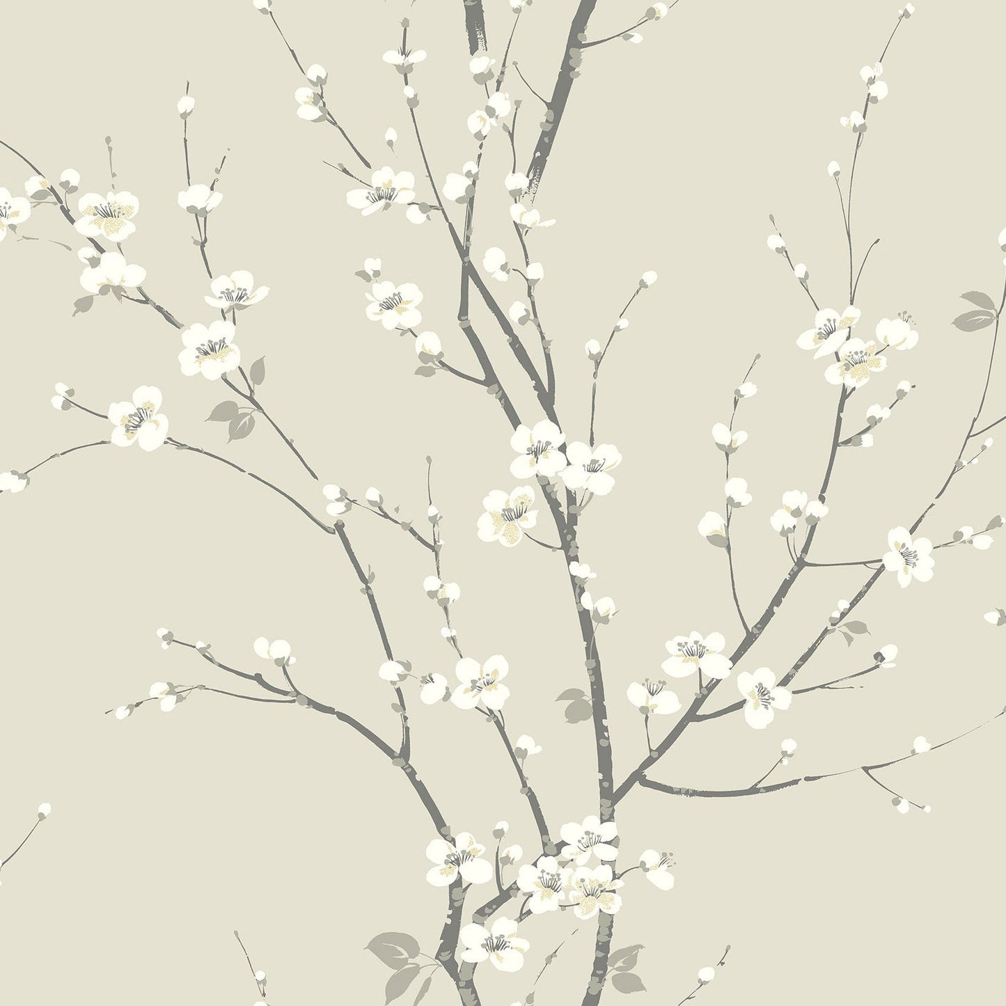 Purchase 2927-81805 Newport Monterey Ivory Floral Branch by A-Street Prints Wallpaper
