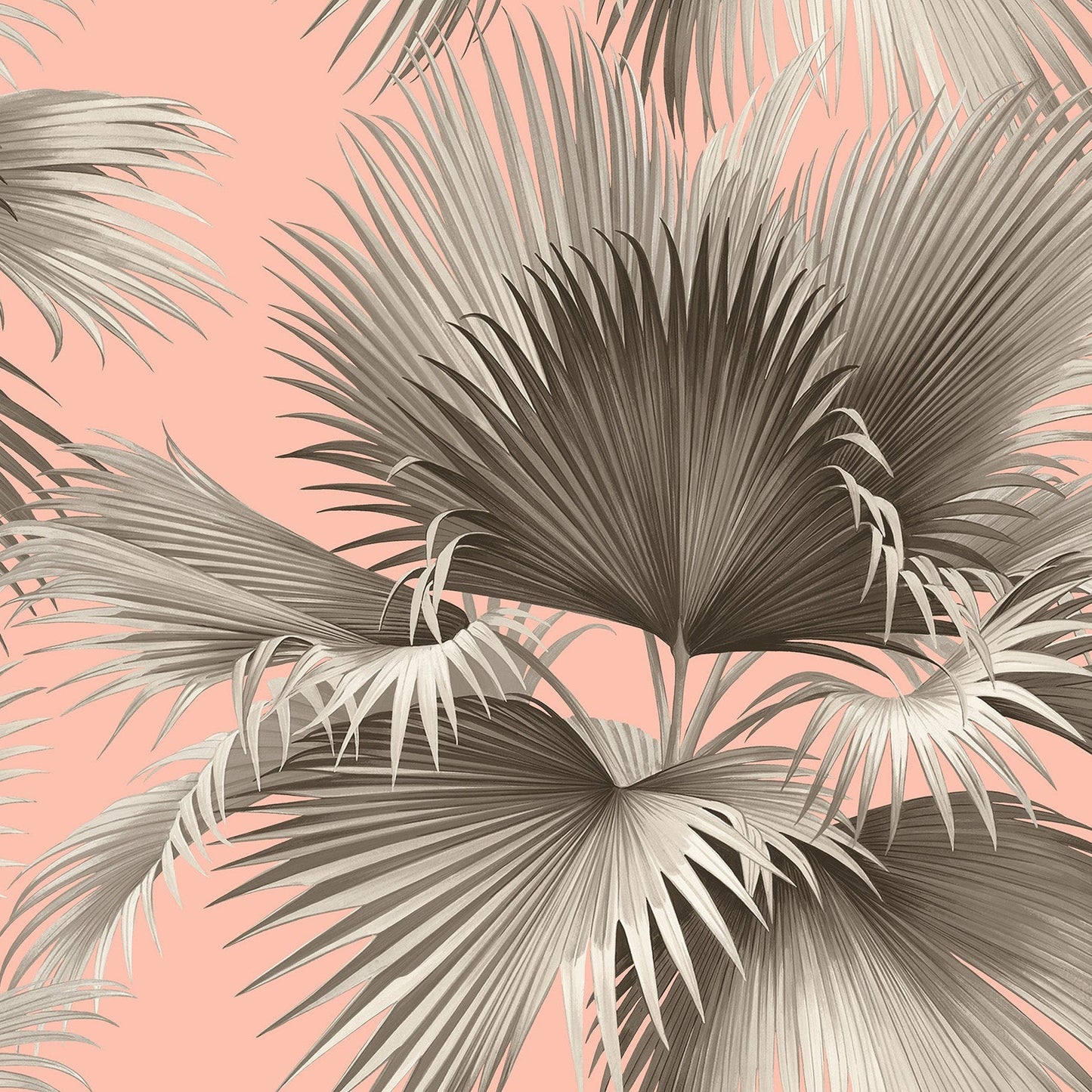 Purchase 2927-81901 Newport Summer Palm Blush Tropical by A-Street Prints Wallpaper