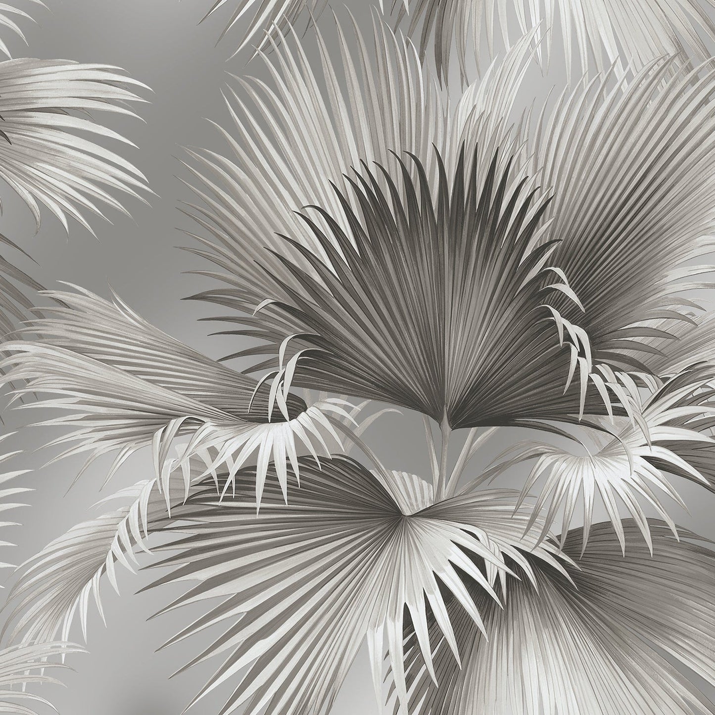 Purchase 2927-81908 Newport Summer Palm Platinum Tropical by A-Street Prints Wallpaper