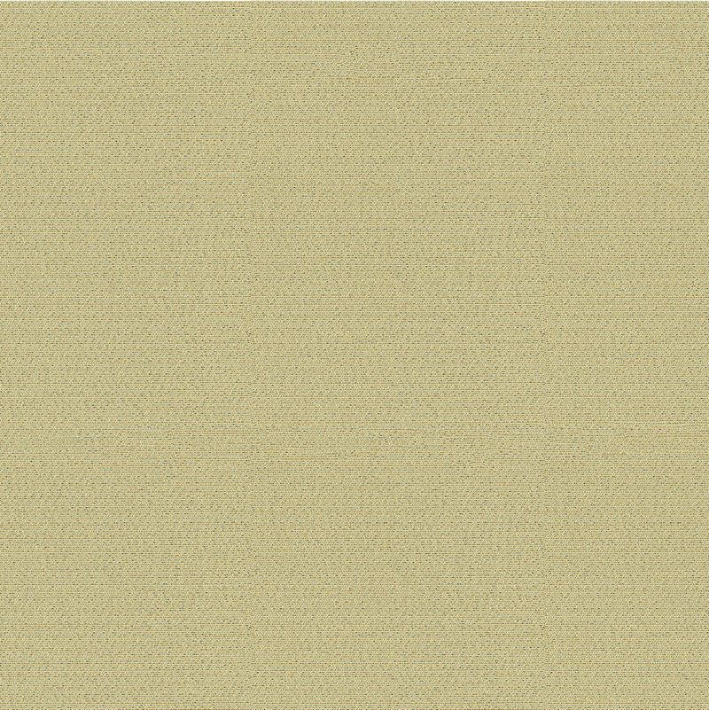 Sample 29582.11.0 Jet Setter Silver Light Grey Upholstery Metallic Fabric by Kravet Basics