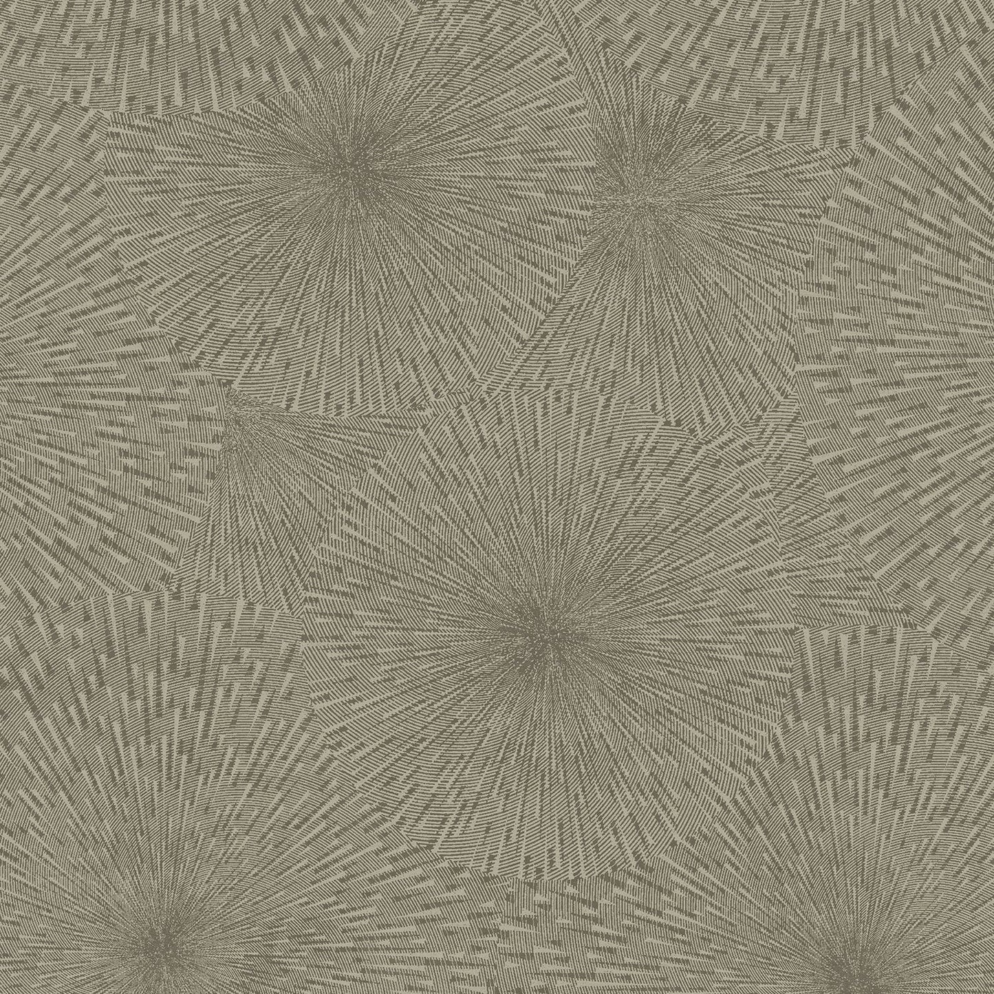 Purchase 2959-SDM04003 Textural Essentials, Zion Coffee Starburst by Brewster Wallpaper